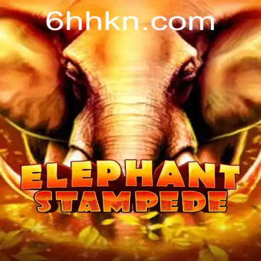 Unveiling ElephantStampede: The Thrilling World of the 6HH Challenge
